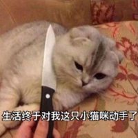 拿刀吓唬猫的表情包