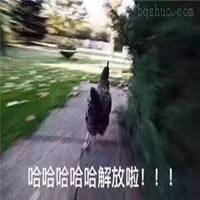 我解放啦搞笑表情包