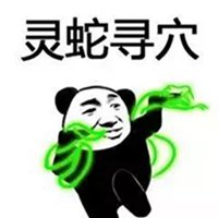 熊猫人武术招式表情包