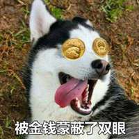 被金钱蒙蔽了双眼的头像