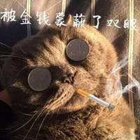 被金钱蒙蔽了双眼的头像