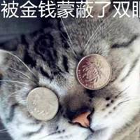 被金钱蒙蔽了双眼的头像