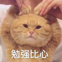 流鼻血的猫头像