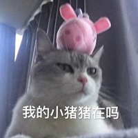 流鼻血的猫头像