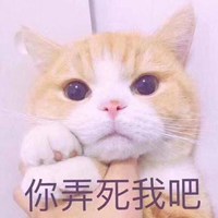 流鼻血的猫头像