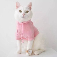 穿衣服的小猫咪的可爱头像