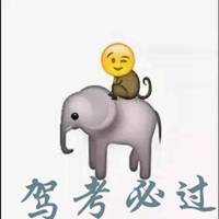 驾考必过头像