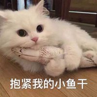 猫咪抱着小鱼干头像