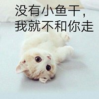 猫咪抱着小鱼干头像