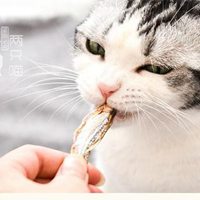 猫咪抱着小鱼干头像