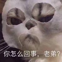 猫咪敷面膜的头像