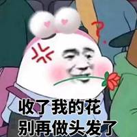 铁锅炖自己头像