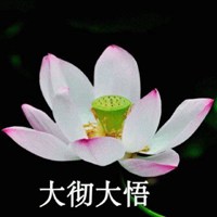 大彻大悟与世无争头像