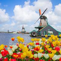 荷兰风车头像图片大全
