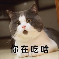 流口水的猫头像