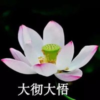 大彻大悟莲花头像图片