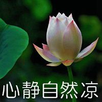 大彻大悟莲花头像图片