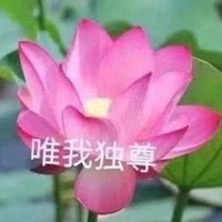 大彻大悟莲花头像图片