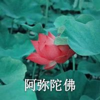 大彻大悟莲花头像图片