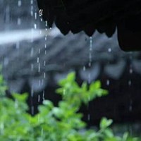 春风化雨图片头像