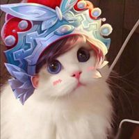 沸猫猫头像