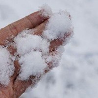 鹅毛大雪的图片头像