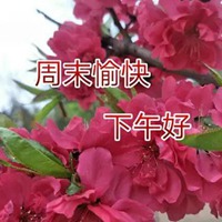 下午好图片带字 大家下午好温馨图片