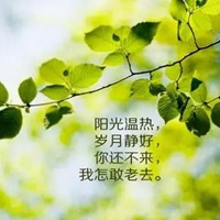 秋天落叶伤感图片带字 秋风秋雨落叶伤感图片