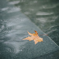 秋雨的唯美图片 秋雨绵绵的凄凉景色图片