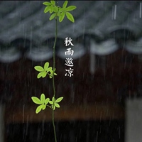 秋雨的唯美图片 秋雨绵绵的凄凉景色图片