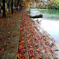 秋雨的唯美图片 秋雨绵绵的凄凉景色图片