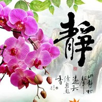 静字图片 书法一个静字图片