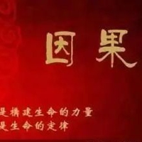 因果图片带字 有应必有果循环唯美图片