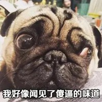 要疯了的图片带字 我已经快要疯掉了搞笑图片