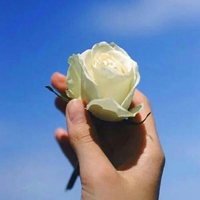 一只手拿着一朵花图片 动漫一只手拿着花朵图片