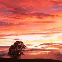 夕阳西下的唯美图片 最美海边夕阳西下真实图片