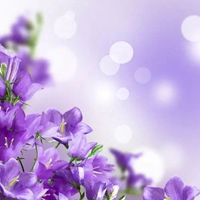 紫色梦幻唯美图片 6k紫色梦幻星空图片