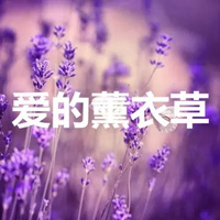 薰衣草图片带字爱情 唯美浪漫薰衣草图片