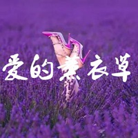 薰衣草图片带字爱情 唯美浪漫薰衣草图片