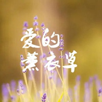 薰衣草图片带字爱情 唯美浪漫薰衣草图片