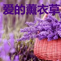 薰衣草图片带字爱情 唯美浪漫薰衣草图片