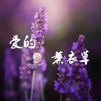 薰衣草图片带字爱情 唯美浪漫薰衣草图片