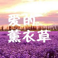 薰衣草图片带字爱情 唯美浪漫薰衣草图片