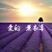 薰衣草图片带字爱情 唯美浪漫薰衣草图片