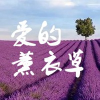 薰衣草图片带字爱情 唯美浪漫薰衣草图片