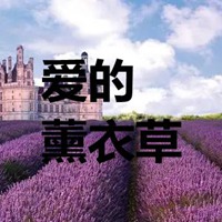 薰衣草图片带字爱情 唯美浪漫薰衣草图片