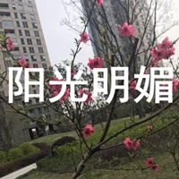 阳光明媚的图片带字 太阳明媚的图片带字