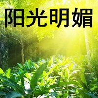 阳光明媚的图片带字 太阳明媚的图片带字