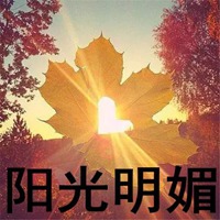 阳光明媚的图片带字 太阳明媚的图片带字