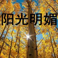 阳光明媚的图片带字 太阳明媚的图片带字